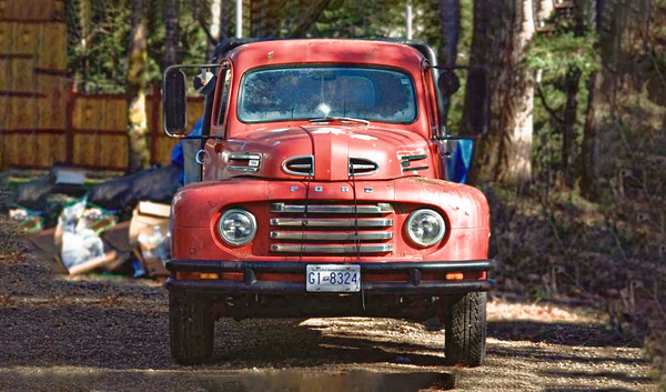 Blue Moon Fruit Wine Series