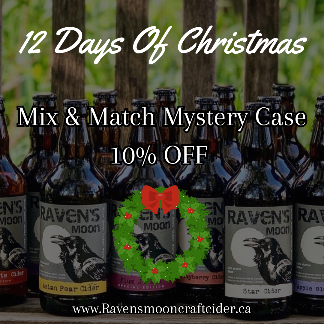 12 Days Of Christmas Mystery Case 10 Discount Raven s Moon